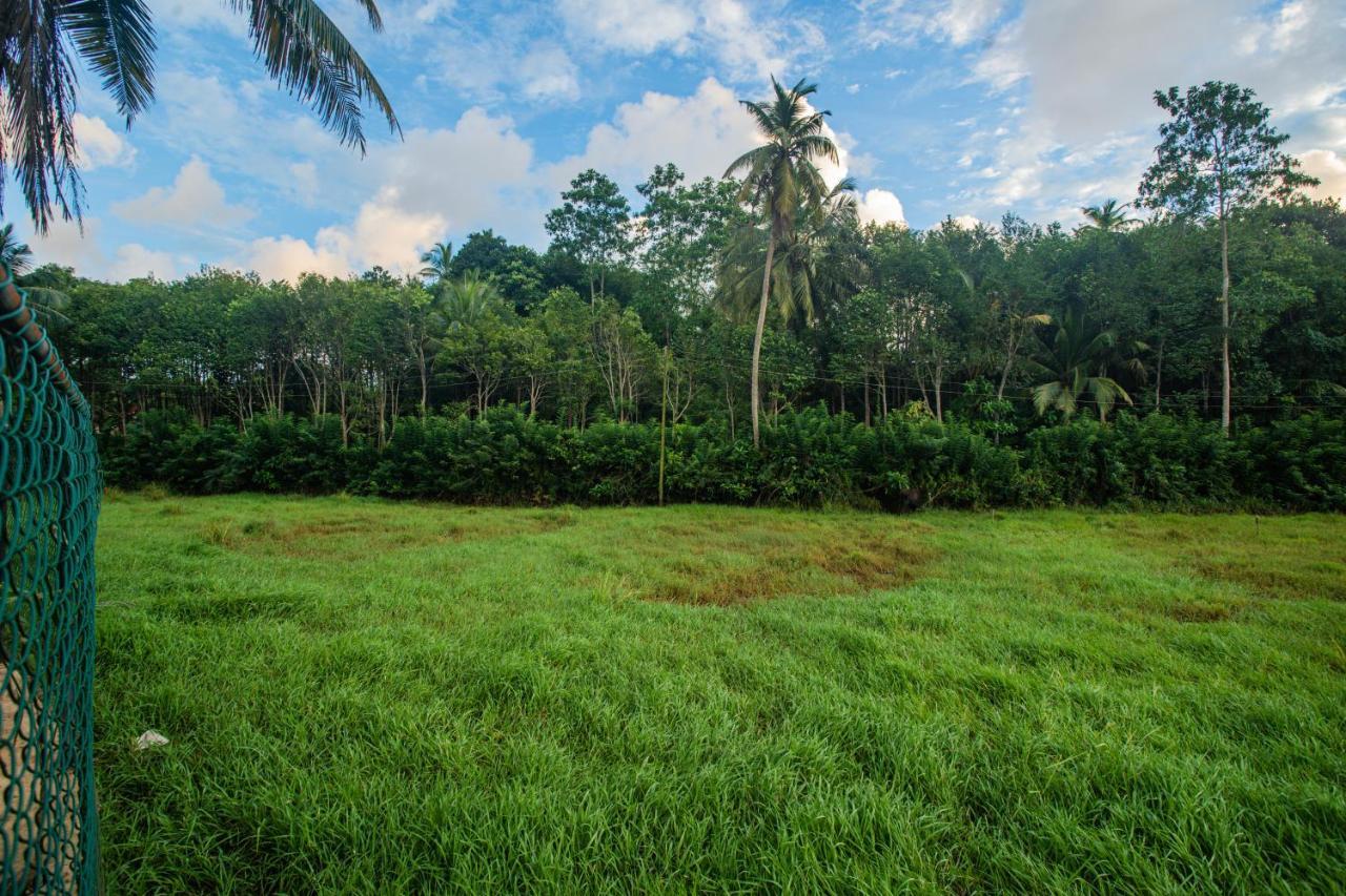 Greencliff * Mirissa